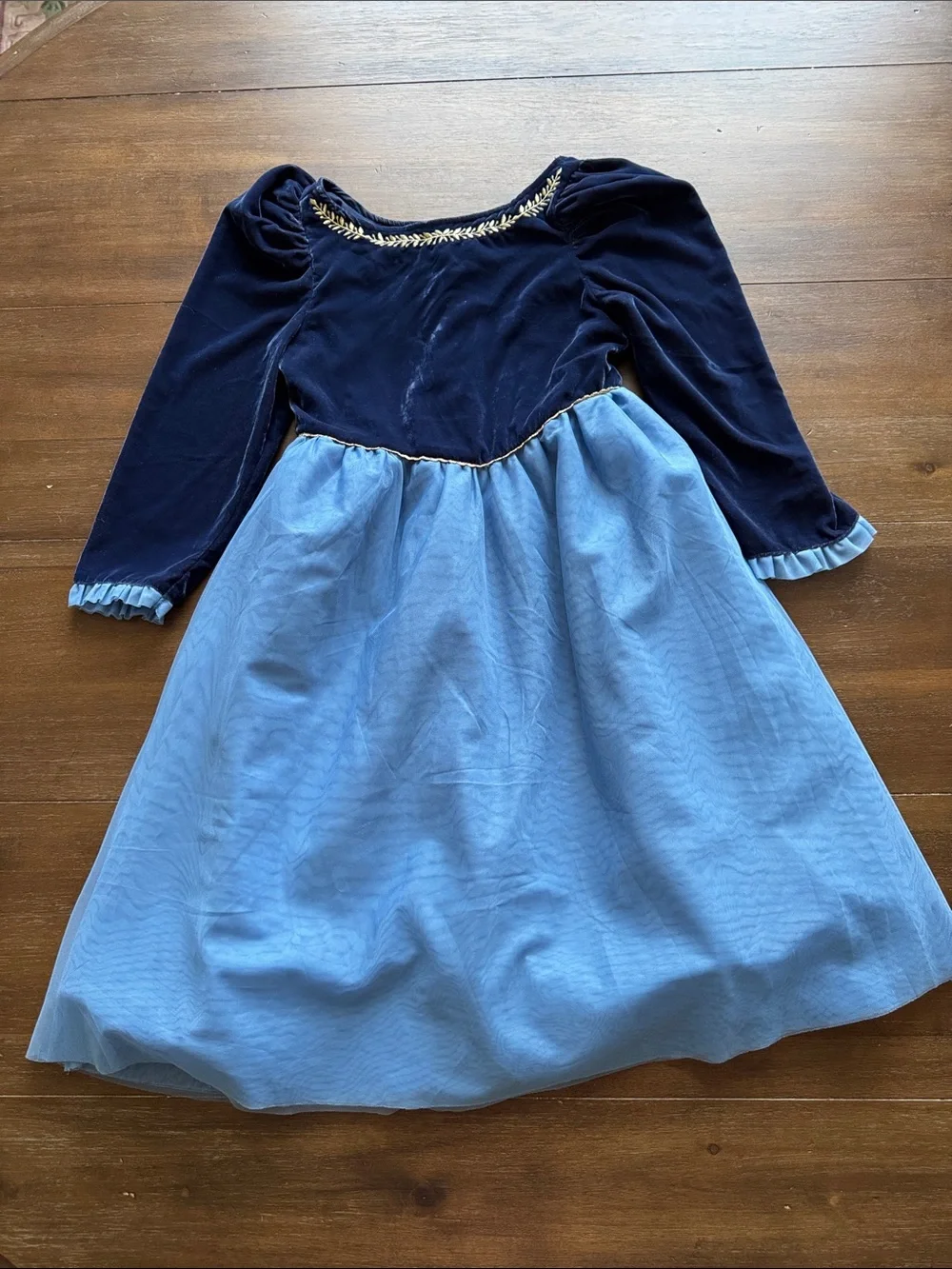 Sz 10 Disney X Janie and Jack Frozen velvet tulle dress